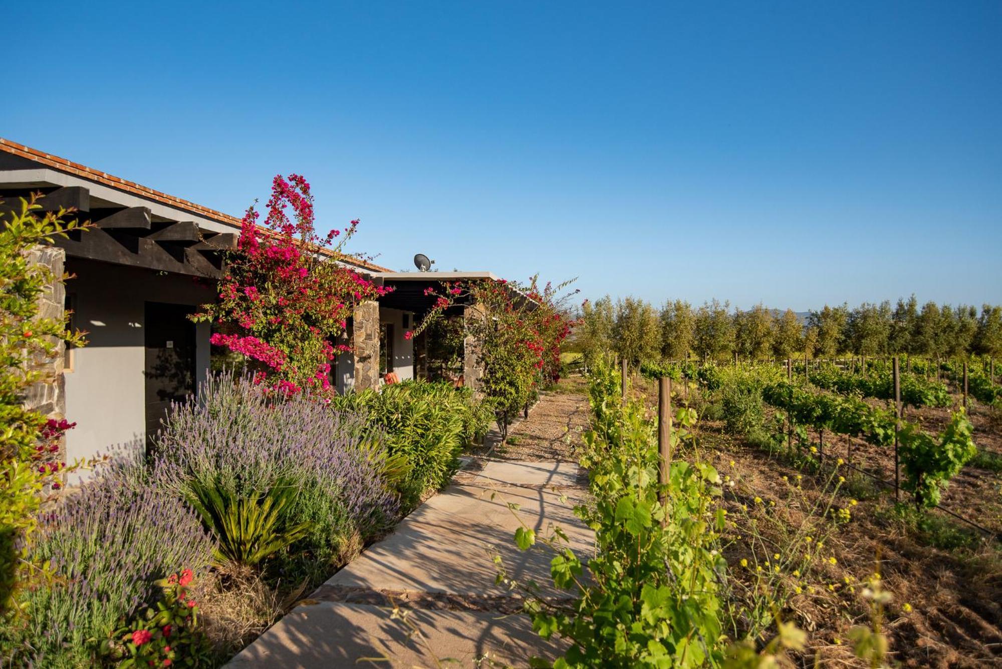 Hotel Atika Retreat Valle de Guadalupe Exteriér fotografie