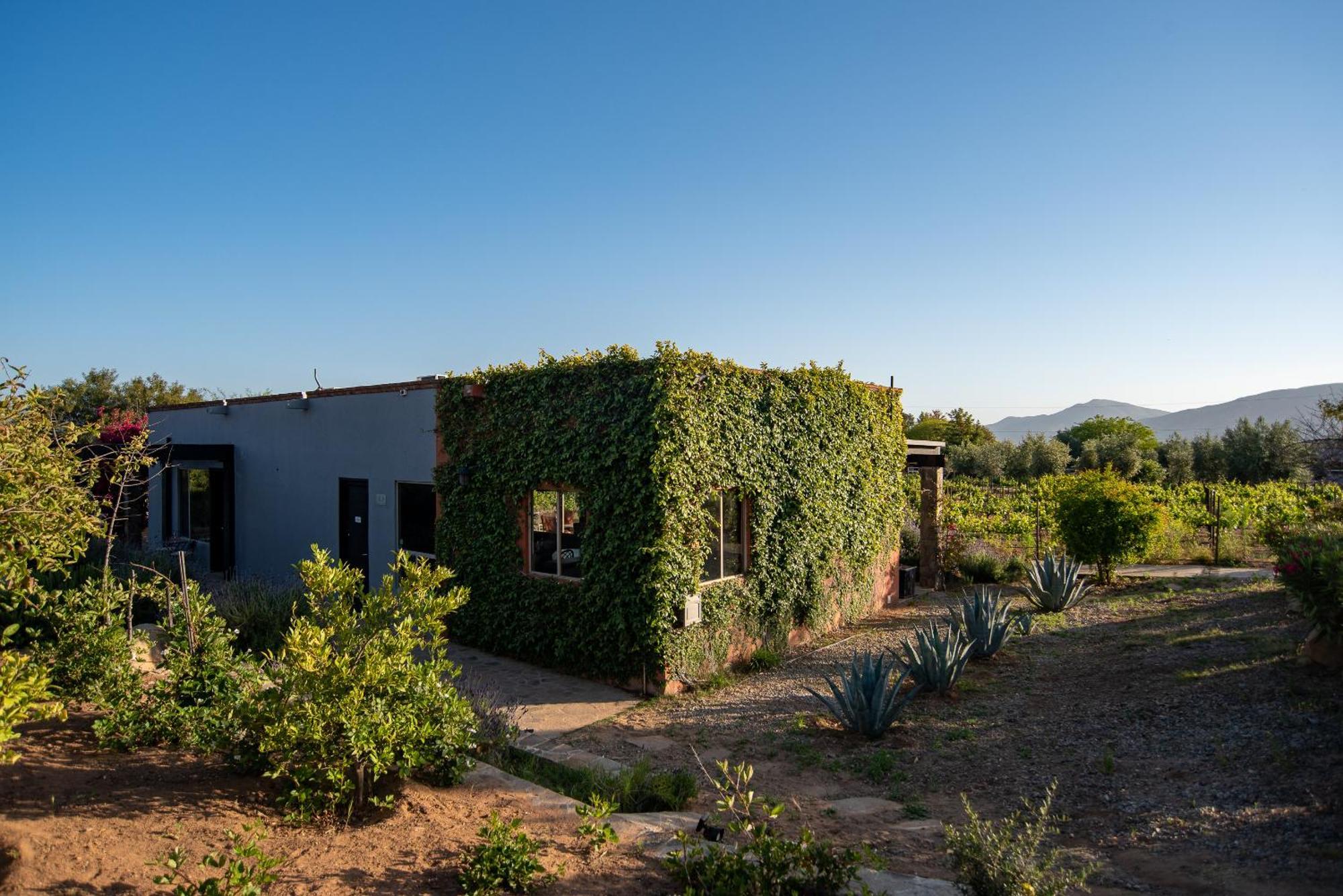 Hotel Atika Retreat Valle de Guadalupe Exteriér fotografie